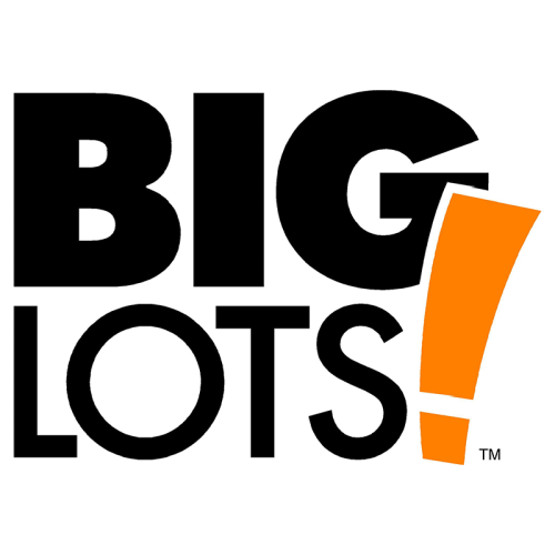 Big Lots Case Study
