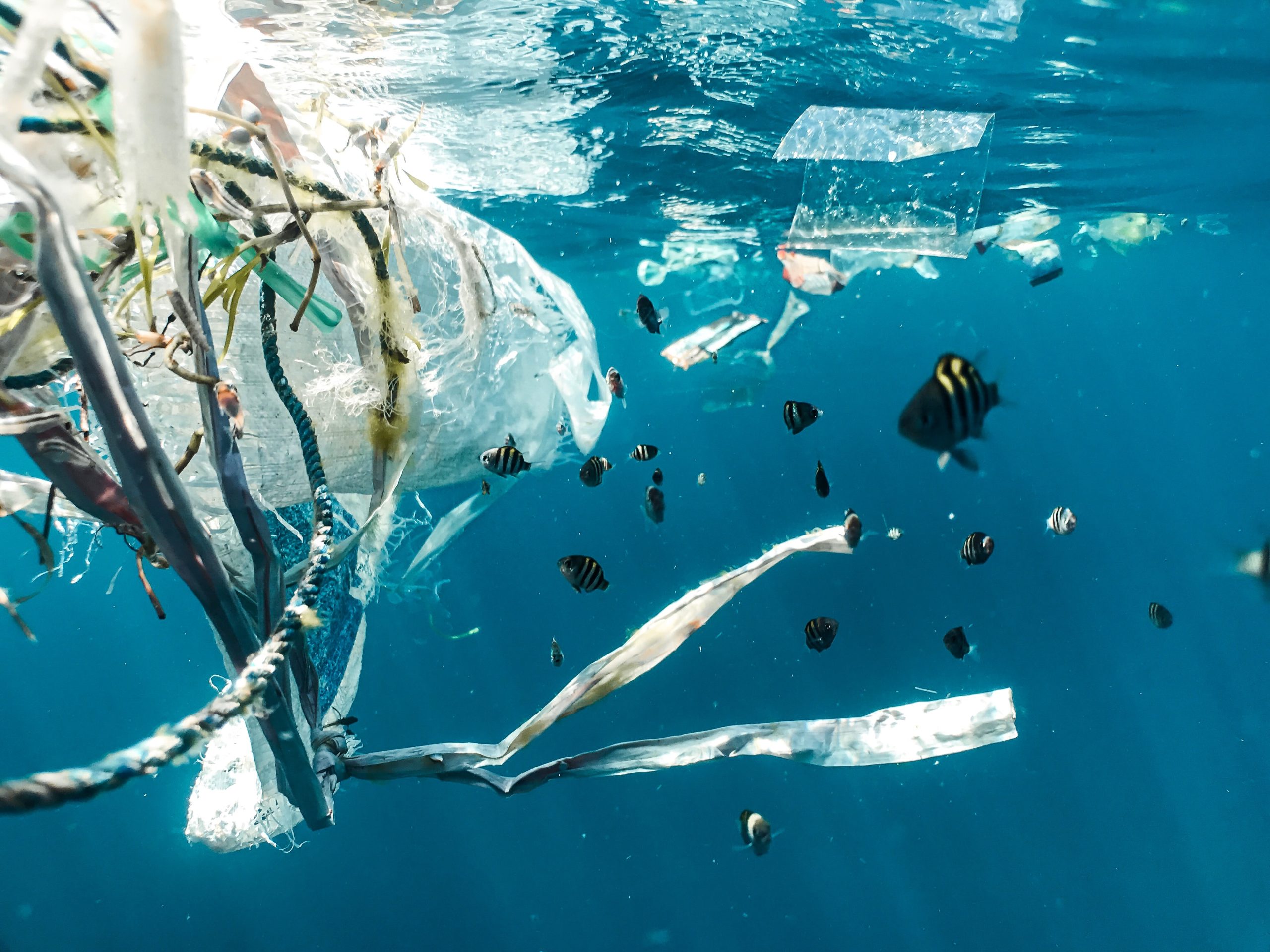 Marketing to Eco-Conscious Audiences: 9 Dos and Don’ts