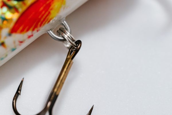 Potential Phishing Scam