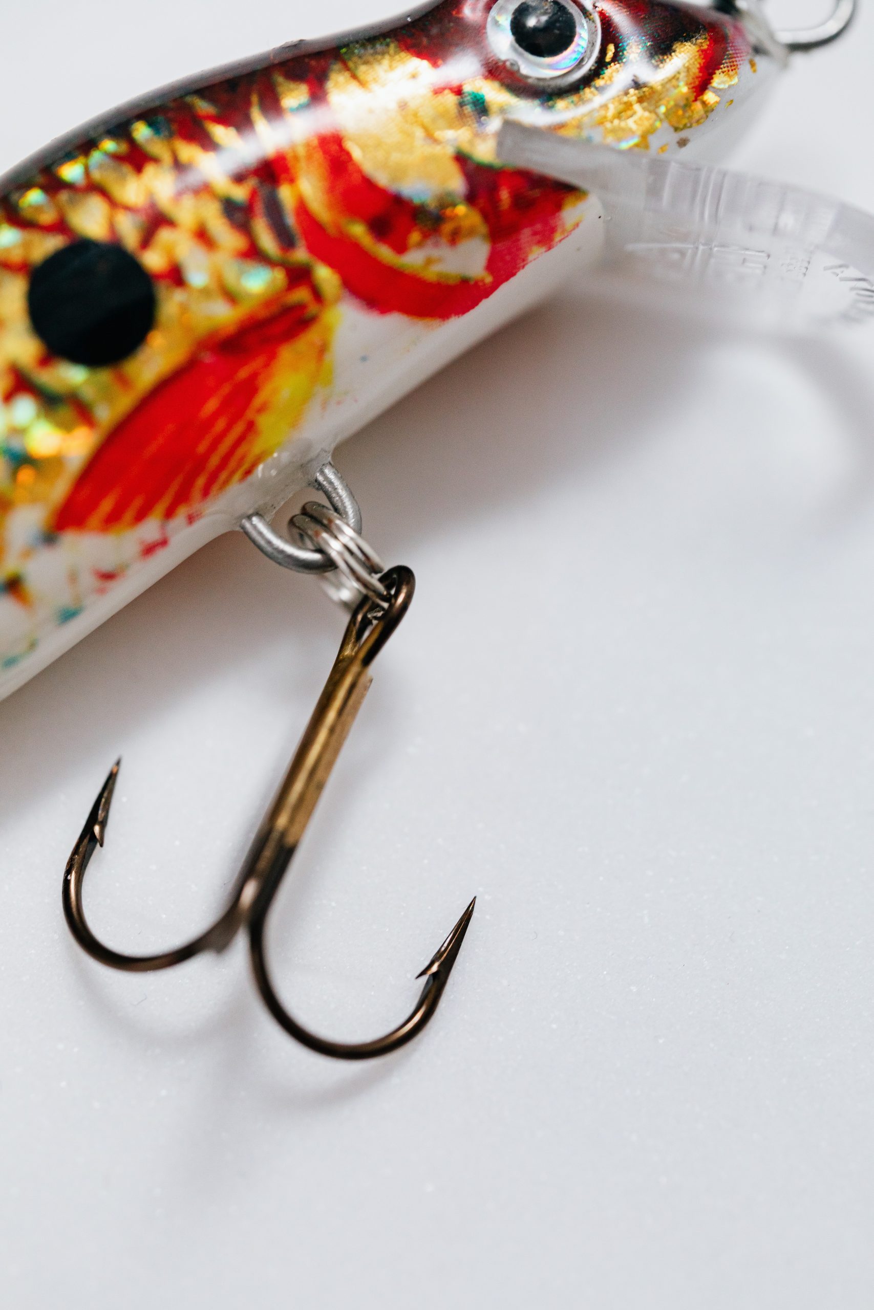 What to Look Out for in a Potential Phishing Scam